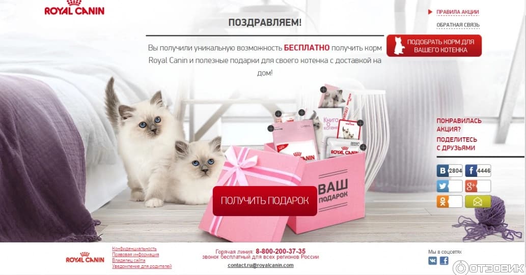 Royal Canin loyalty programme promotional website for kitten owners